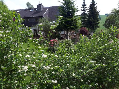 . Ferienwohnung Aronia Garten