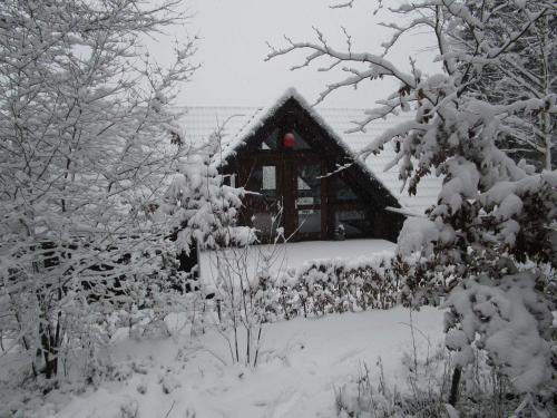 Ferienhaus im Grünen - NEU mit E-Auto Ladesäule