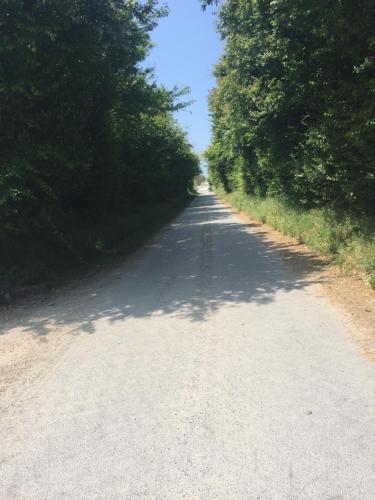 le loup dans la bergerie photo 19