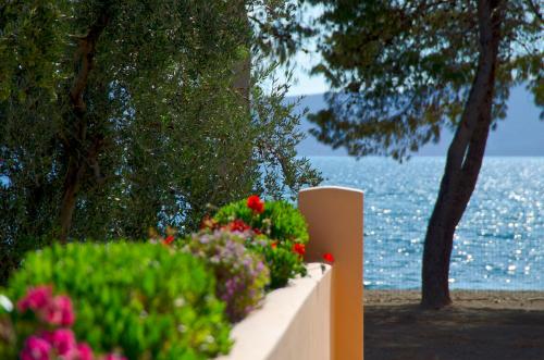Makis Inn Resort - main image