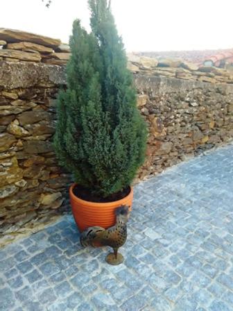 Alojamento Rural Casa da Eira