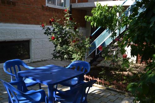Guest house Vinogradnaya Loza - image 2