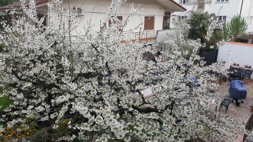 B&B Gasiso - image 6
