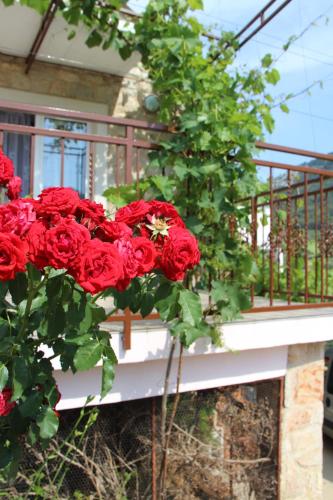  Apartmani Ivanković in Vrisnik