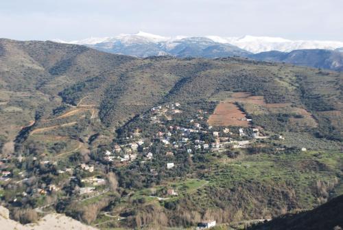 Encinar de Aguas Blancas