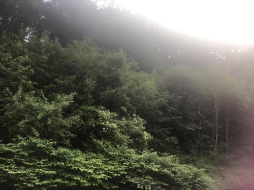 Ybbshof - image 9