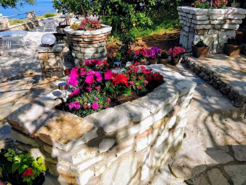 John's Guesthouse - image 7