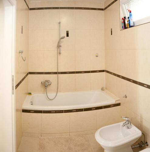 Apartment Vila Tara - image 6
