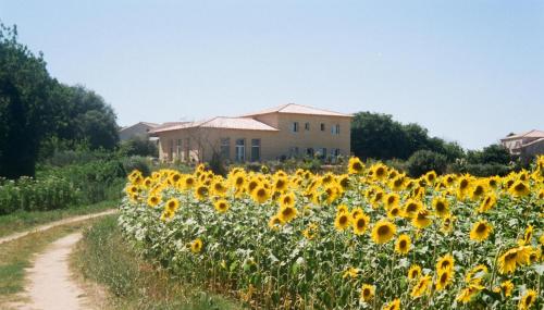 Villa La Charmeuse Fleurie