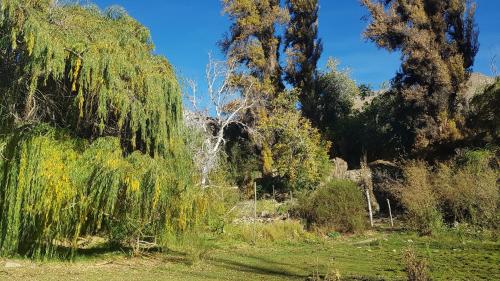 Cabañas Los Sauzales