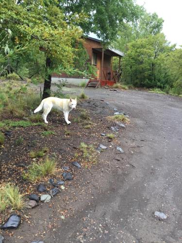 Don Guillermo Cabins photo 3