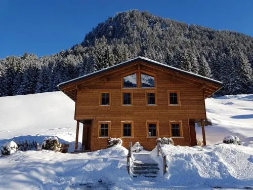 Neuberg Alm in Sankt Gallenkirch, Österreich