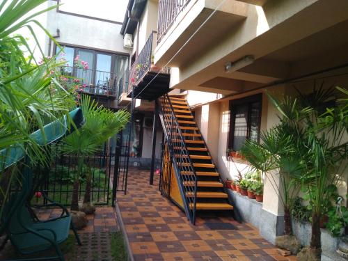 ทางเข้า, Stefy & Marie in ฟาเลซาเหนือ