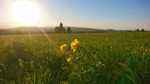 Pension Weinig