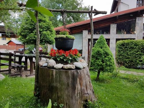 Viesnīcas āriene, Pensiunea Liziera in Busteni