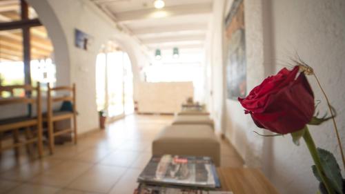 Hotel Casa Del Mar in El Mas Mates