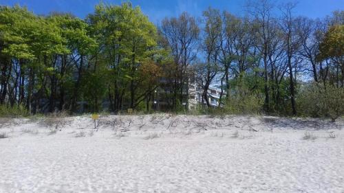 Apartament z aneksem, Diune, nr 328, Kołobrzeg, blisko morza Apartament z aneksem, Diune, nr 328, Kołobrzeg, blisko morza