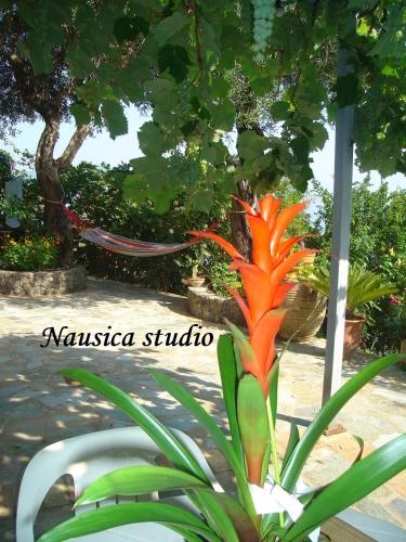 Studio Nausica... a sense of paradise!