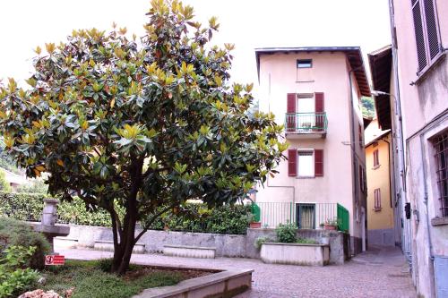  LA MAGNOLIA Guests House, Pension in Dervio