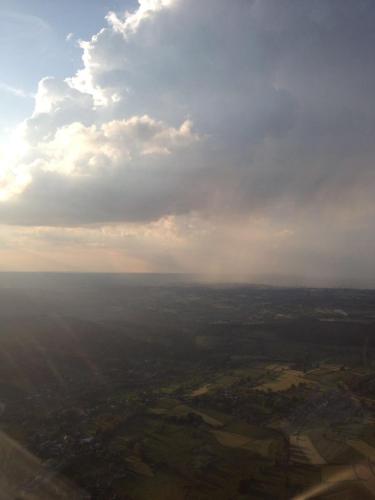  le jeune marronnier in Robertville