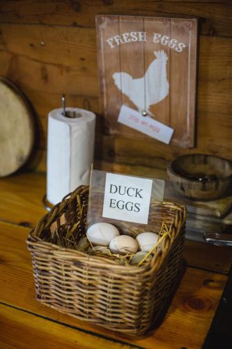 Larkhill Tipis and Yurts