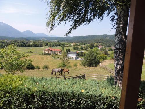 Zunanjost, Ferienhäuser Zak (Ferienhauser Zak) in Grabelsdorf