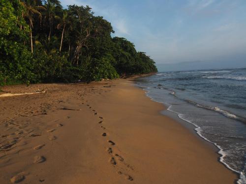 Cabinas Yemanya In Costa Rica
