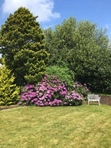 Oak Tree Cottage, Charming, Rural New Forest Home