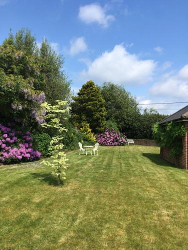 Oak Tree Cottage, Charming, Rural New Forest Home