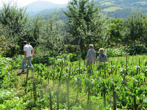 Agroturismo La Casona de Belmonte