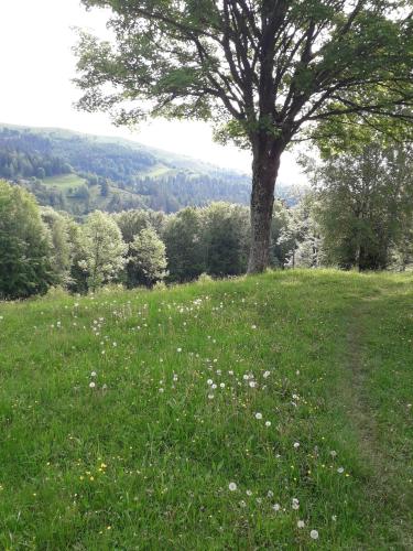 Apkārtne, Заграйка (Заграика) in Serhiji