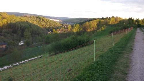 A környék, Ferienwohnung Weiß in Aue