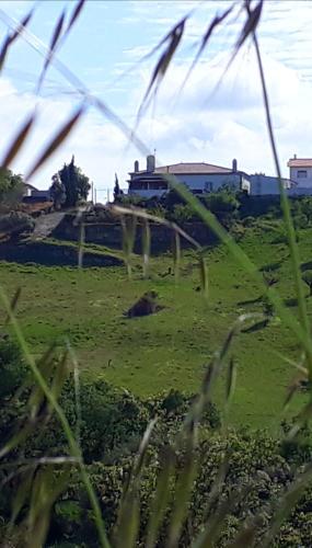 Tipica Casa Portuguesa