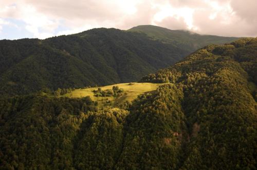 Peak Mazeri Guest House