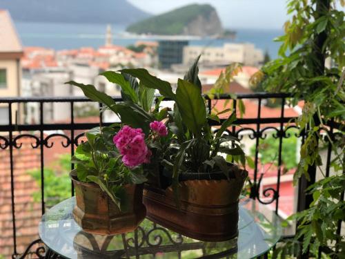 Apartmani Vila Marija - image 4