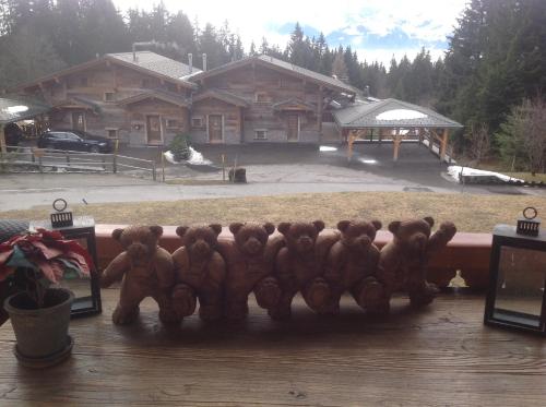  Petit Ours in Villars-sur-Ollon
