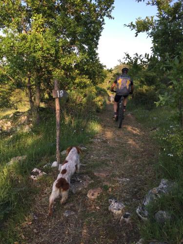 Masseria Camarda - image 2