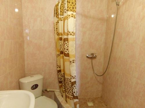 Sofia Guest House - image 4