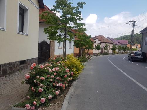 Apartament Teilor