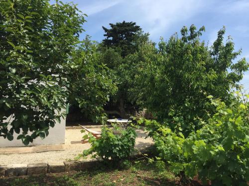 Masseria Camarda