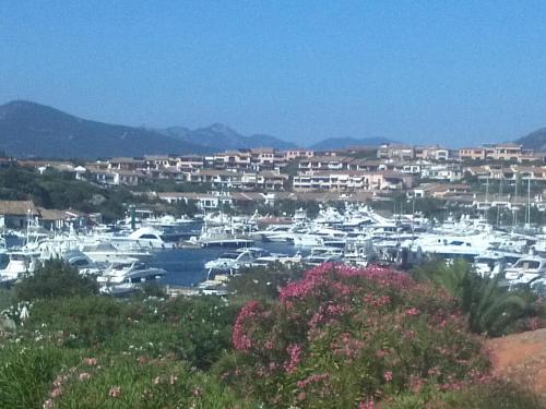 Appartamento Orsa Maggiore - image 2