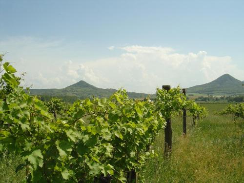 Ferien im Naturschutzgebiet