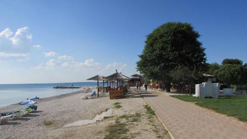 Apartmani Petunia 4