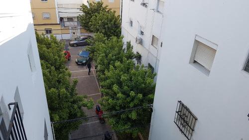 Acogedor apartamento en el barrio del Parlamento de Andalucía (Sevilla), Sevilla (Foto 8)