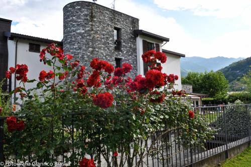 Agriturismo Cà Del Lago - image 9