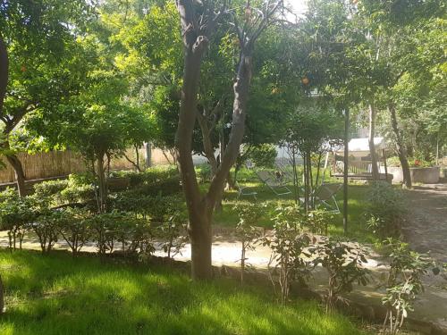 Il Giardino Di Vico Neve - image 6