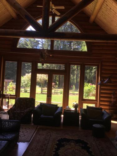 Redwood forest Redwood forest