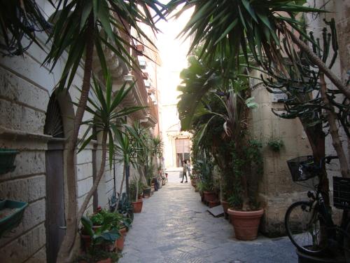 Il Nido di Diana in Ortigia