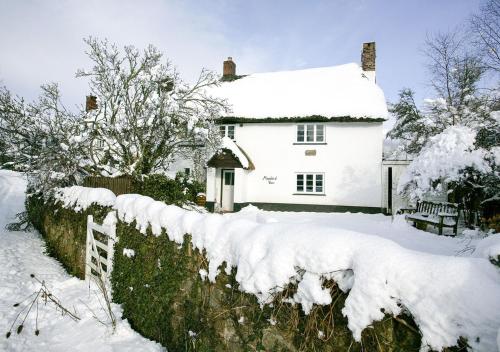Moorland View Cottage - image 4