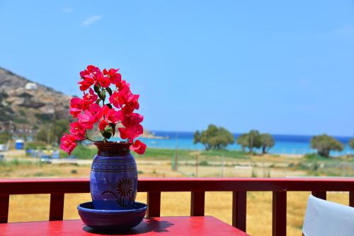 Seagull Rooms Syros